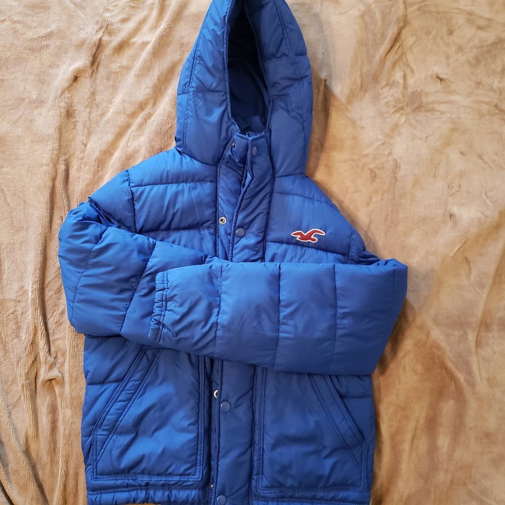 Hollister Winter Parka (Royal Blue) (XL)